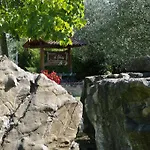 Il Falco