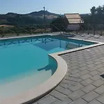 Il Falco *