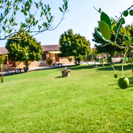 Farm stay Il Falco Todi