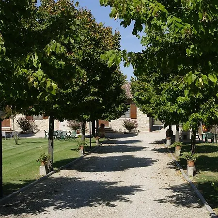 Il Falco