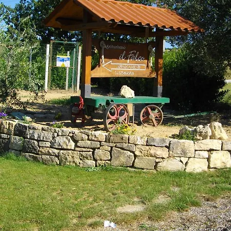Vakantieboerderij Il Falco Todi