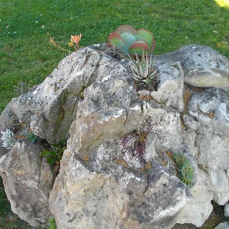 Vakantieboerderij Il Falco Todi