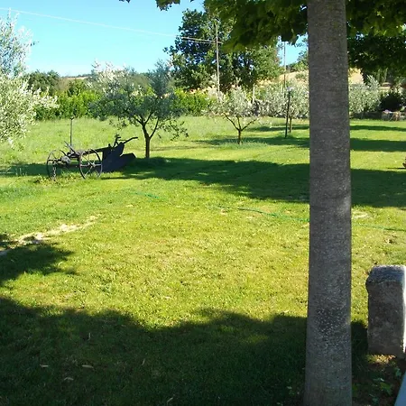 Farm stay Il Falco