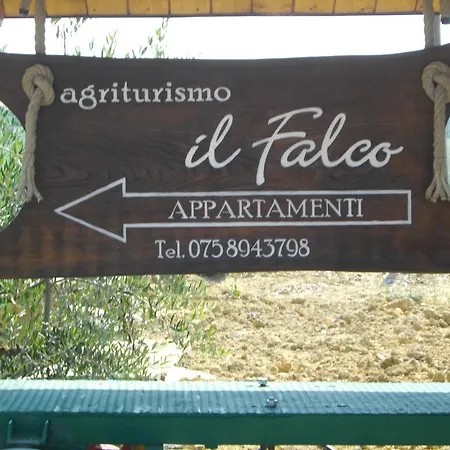 Il Falco * Todi