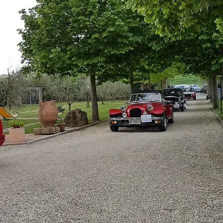 Il Falco Todi
