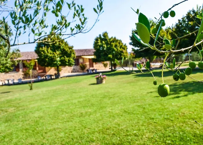 Gospodarstwo agroturystyczne Il Falco Todi