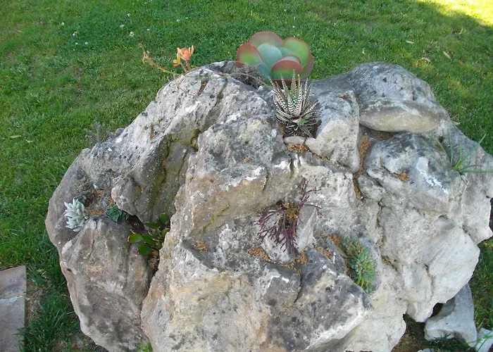 Agroturismo Il Falco Todi